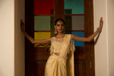 Pre Draped Saree