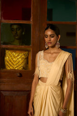 Pre Draped Saree