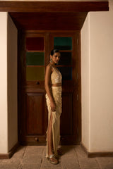 Indo Fusion Blouse with skirt