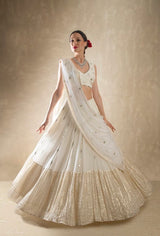 Daisy lehenga set