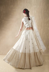 Daisy lehenga set
