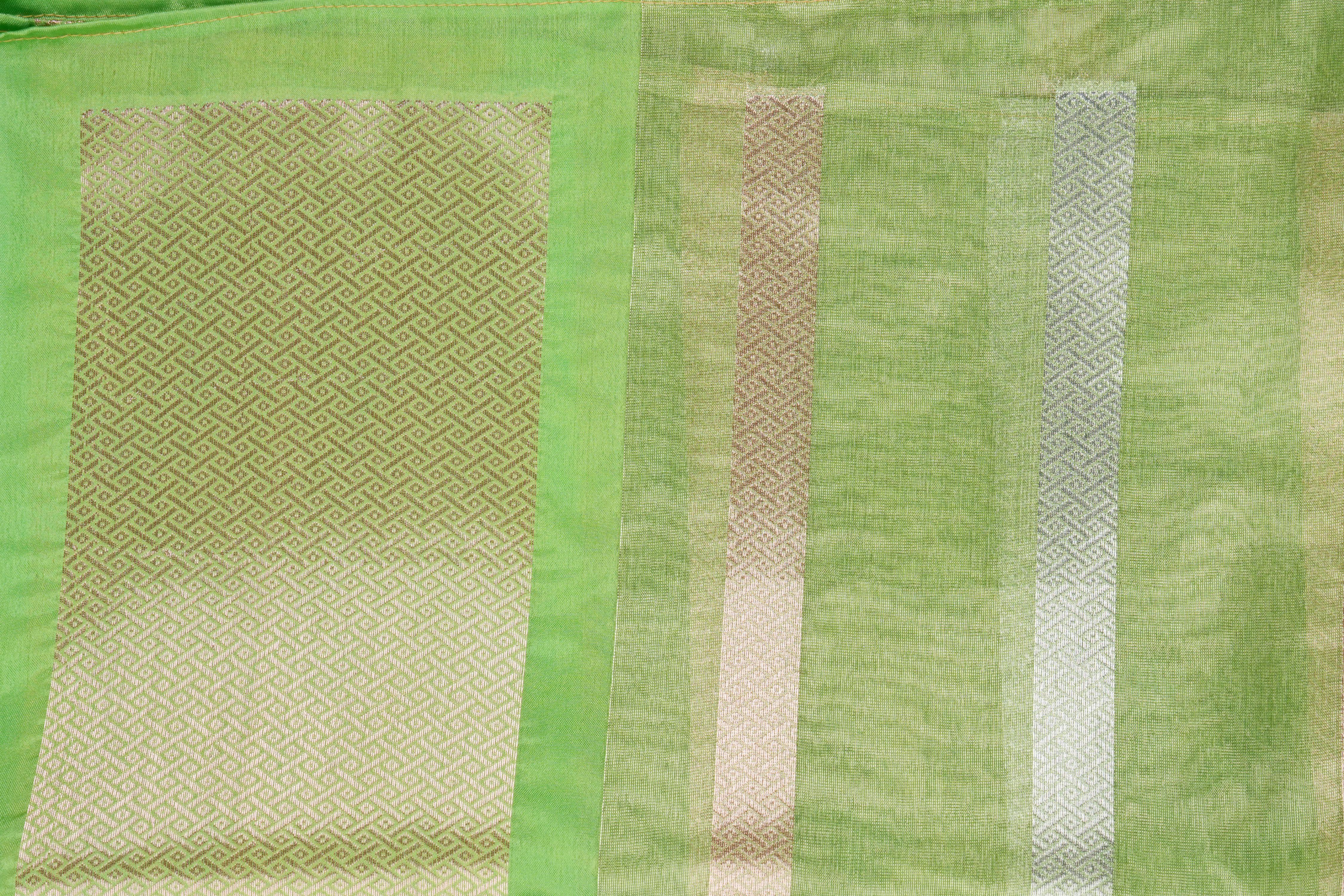 Pista green Tissue Organza Silk banarasi handloom Saree