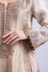 Golden Brown Embroidered Tissue Silk Sharara Set