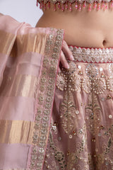 Rani Pink Luxe Tissue Silk Embroidered Lehenga Set with Dupatta