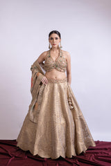 Golden Banarasi Embroidered Lehenga Set with Dupatta