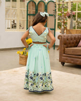 Blue Embroiderd Lehenga Choli Set