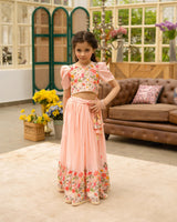 Peach Embroiderd Lehenga Choli Set