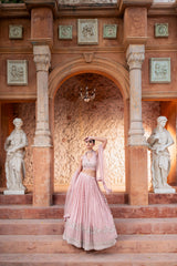 Noor Pink Embroidered Lehenga Set