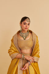 Aashina - Dabka Zardozi Embroidered Pure Tissue Mustard Lehenga Set