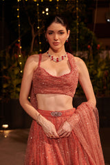 Rose Dust Lehenga Set. 2 (Lehenga + Blouse with attached trail)