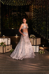 Shahi Shimmer Lehenga Set. 3 (Lehenga + Blouse + Dupatta)
