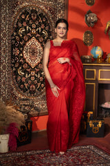 Red pure Organza Silk Saree with chikankari Hand Embroidery