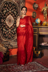 Red pure Organza Silk Saree with chikankari Hand Embroidery