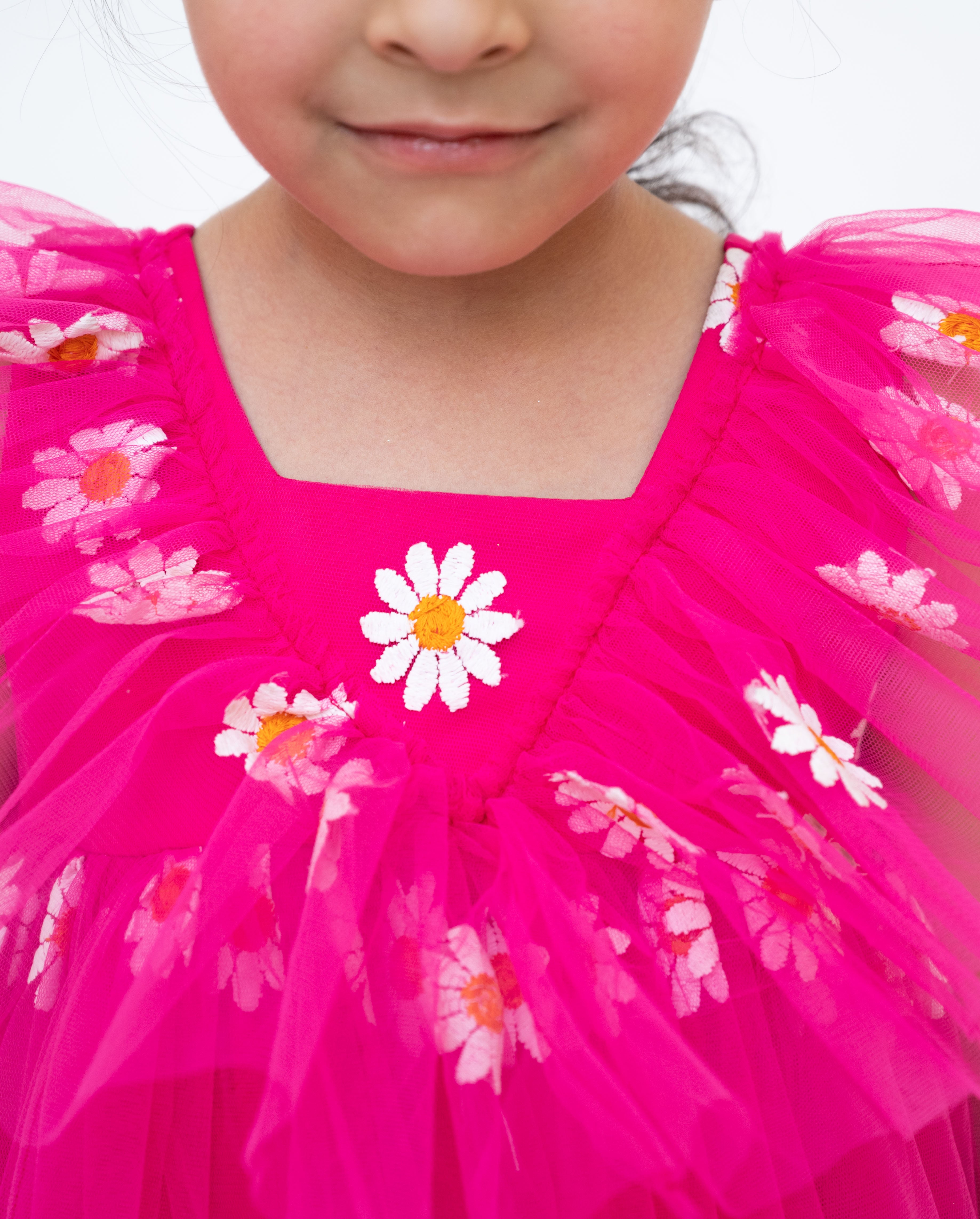Pink Floral Embroidered Net Dress