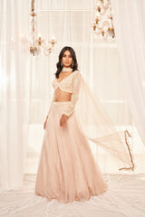 Pearl Embroidered Lehenga Set