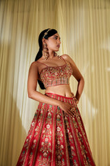 Rusty Red Bridal Lehenga Set