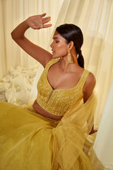 Lime Green Lehenga Set