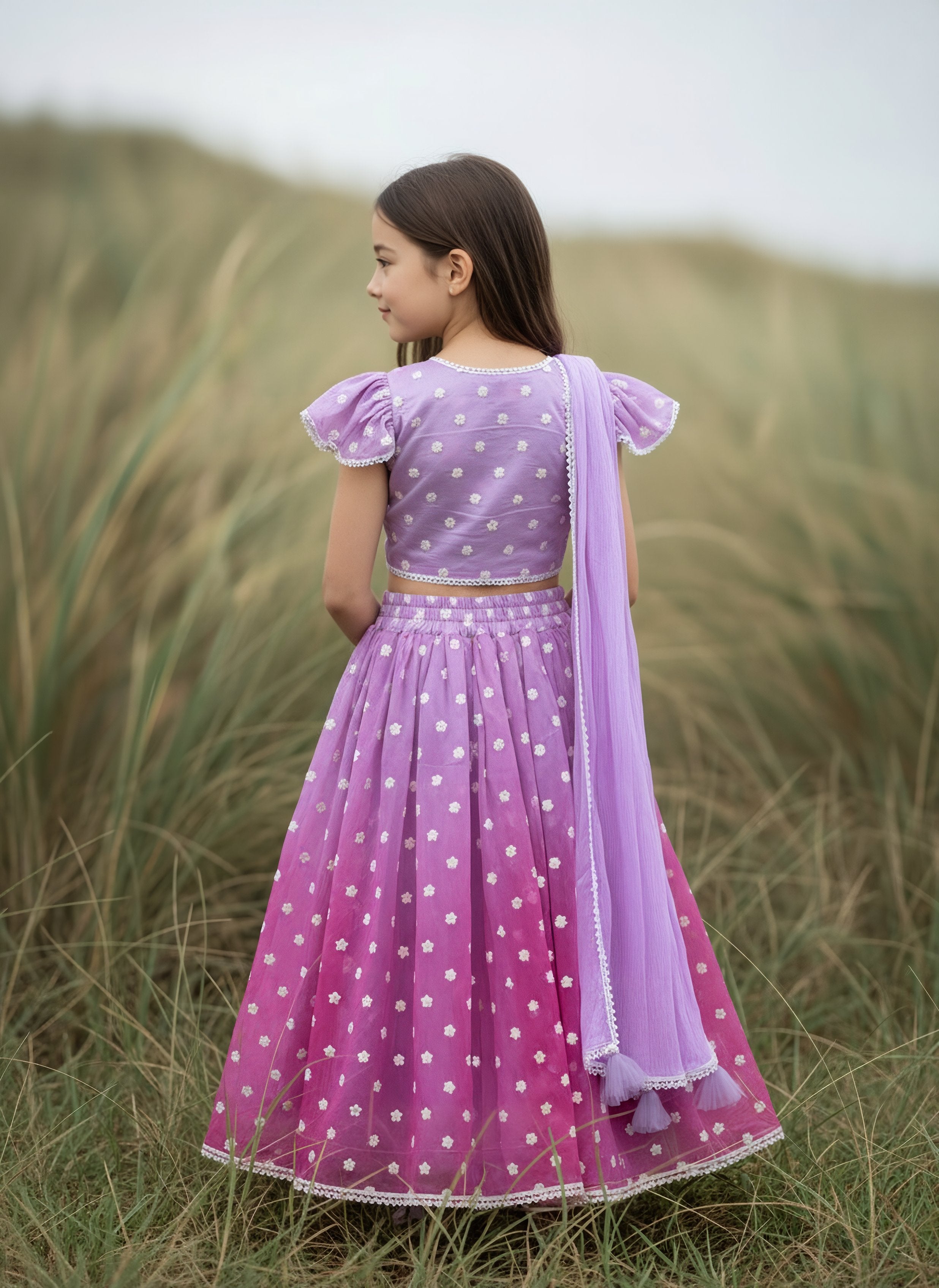 Pink Ombre Embroidered Lehenga Choli Set