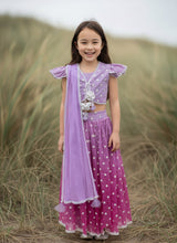 Pink Ombre Embroidered Lehenga Choli Set