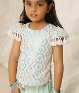 Blue Mirror Embroidered Top with Plazzo Pant