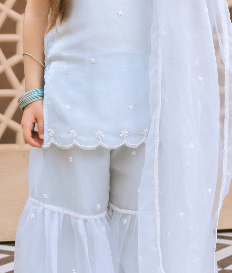 Sky Blue Embroidered Organza Kurti Sharara