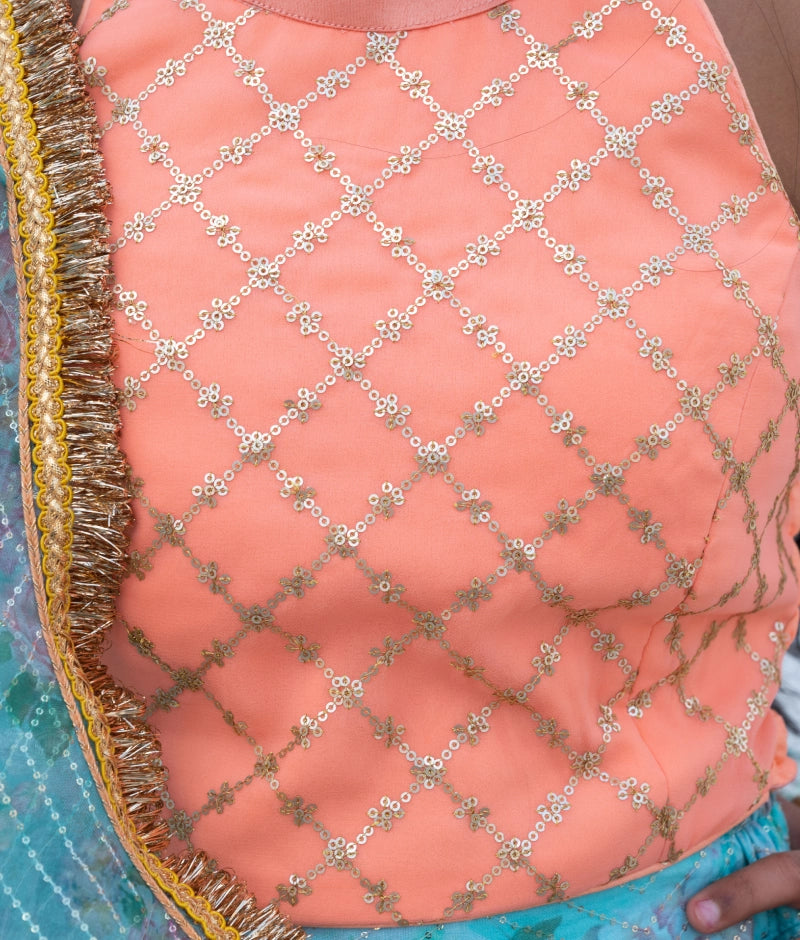 Peach Embroidered Choli withPrinted Organza Lehenga Set