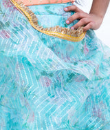 Peach Embroidered Choli withPrinted Organza Lehenga Set