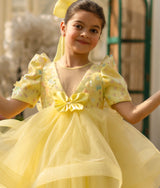 Butterfly Bloom Party Frock