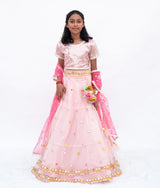 Pink Mirror Embroidered Choli with Lehenga