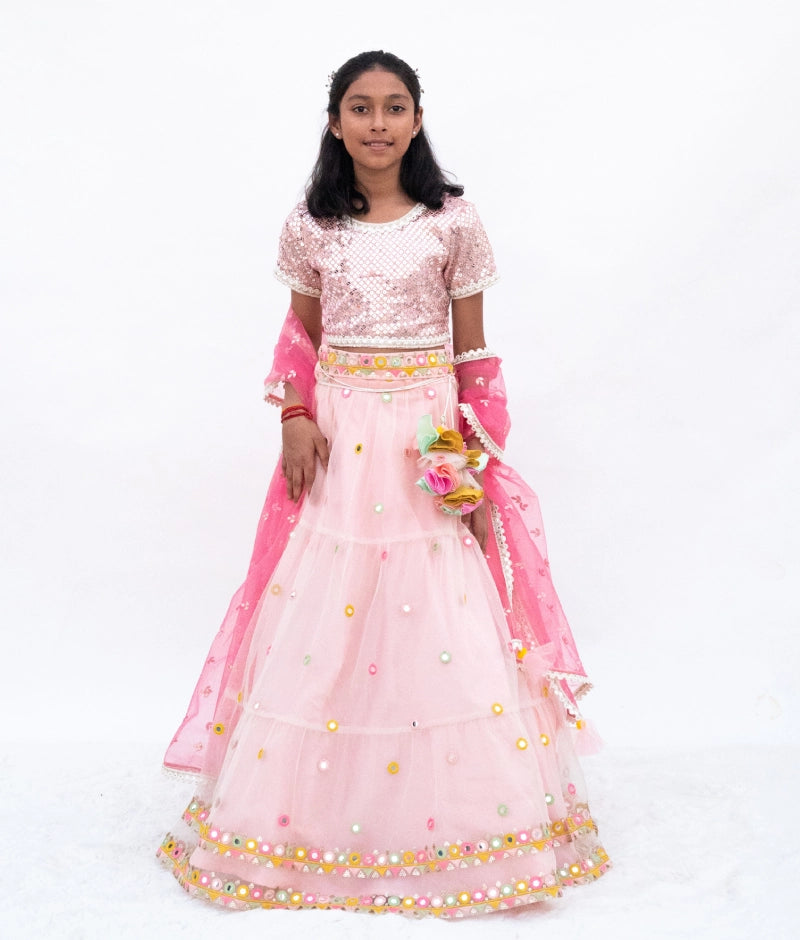 Pink Mirror Embroidered Choli with Lehenga