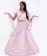 Lilac Gota Embroidery Lehenga with Choli & Boti Net Dupatta