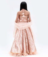 Peach Sequins Embroidery Lehenga Choli Set