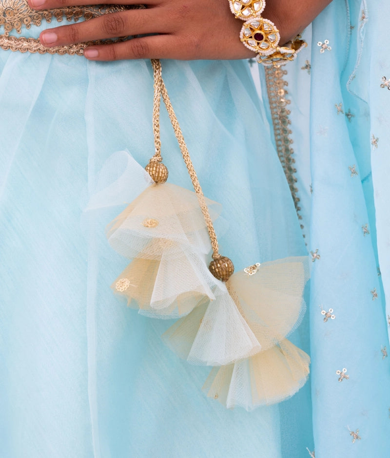 Blue Embroidered Choli with Lehenga and Cape