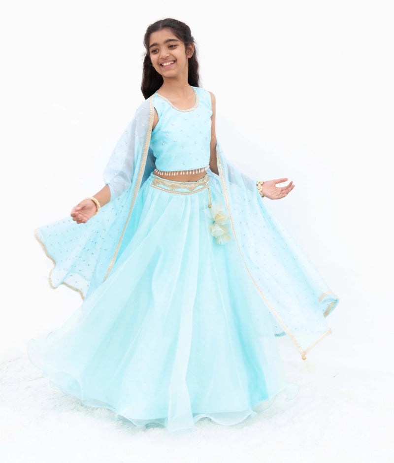 Blue Embroidered Choli with Lehenga and Cape
