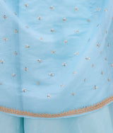 Blue Embroidered Choli with Lehenga and Cape