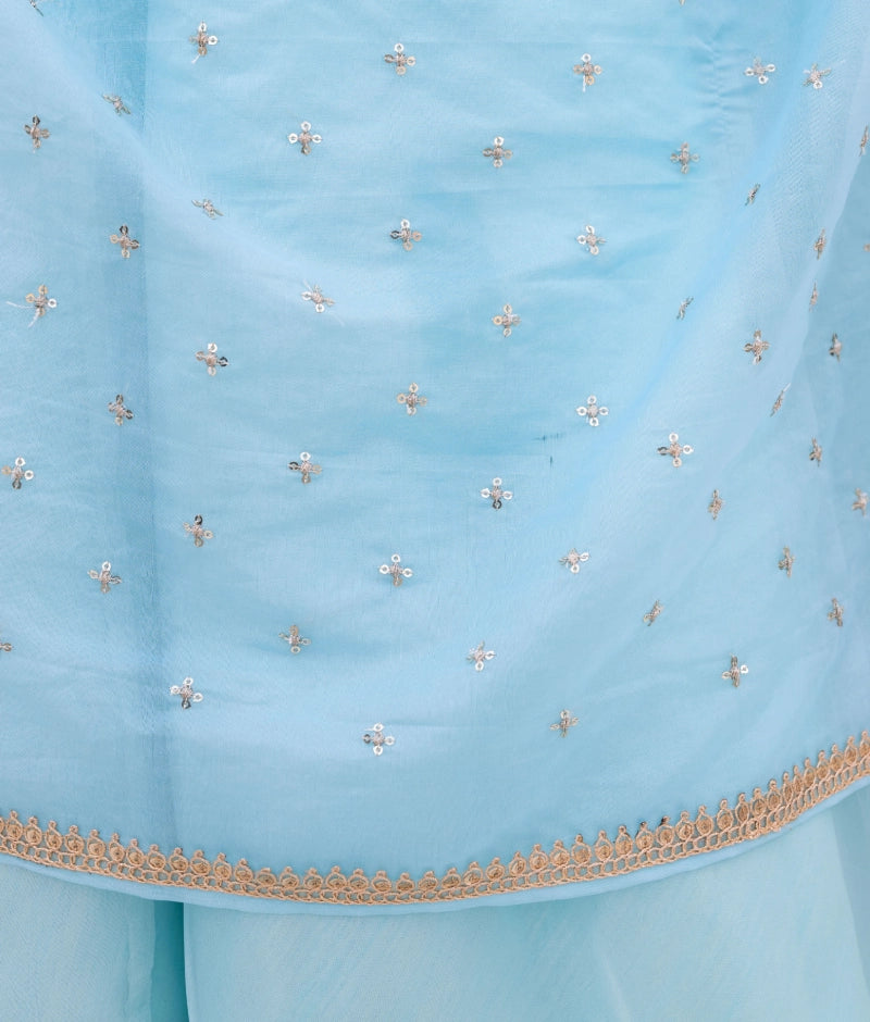 Blue Embroidered Choli with Lehenga and Cape