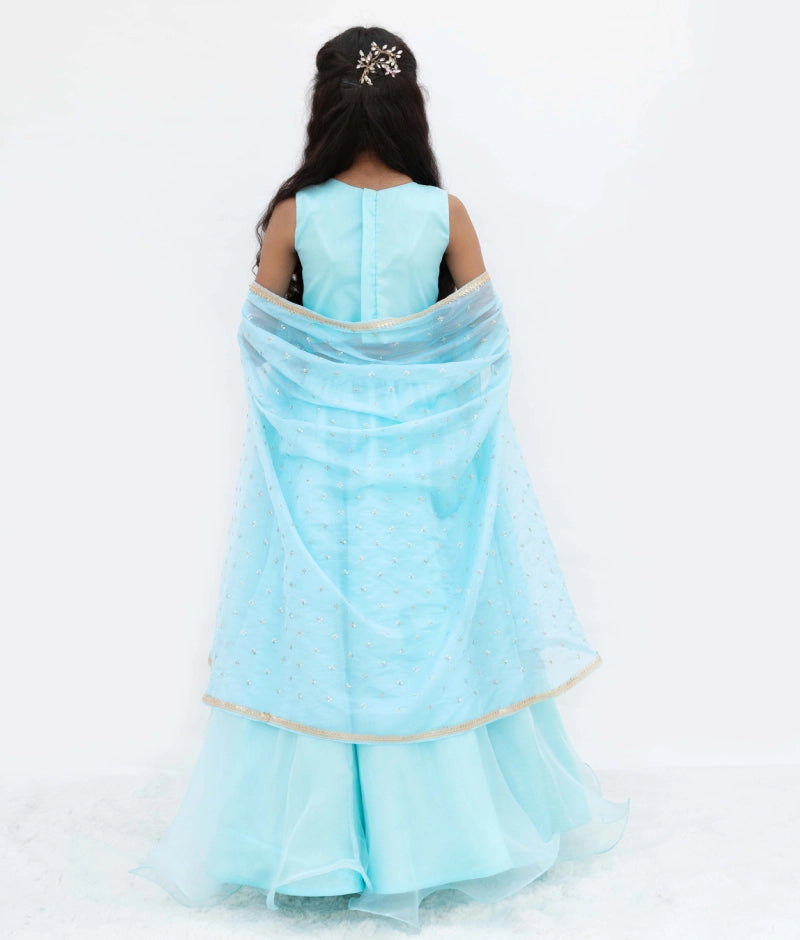 Blue Embroidered Choli with Lehenga and Cape