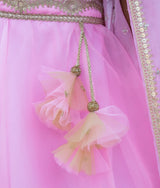 Pink Embroidered Choli with Lehenga and Cape