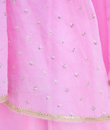 Pink Embroidered Choli with Lehenga and Cape