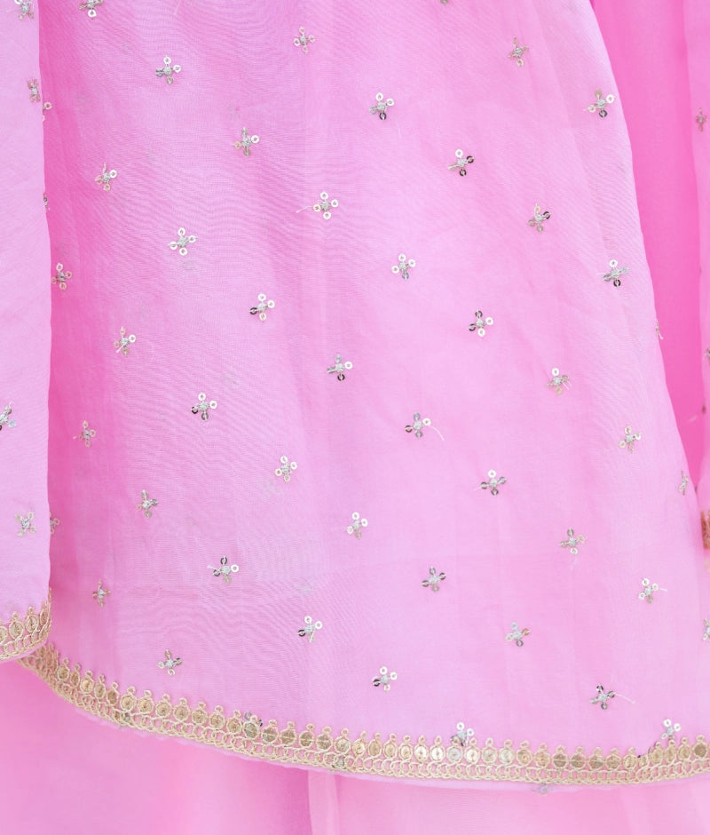 Pink Embroidered Choli with Lehenga and Cape