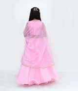 Pink Embroidered Choli with Lehenga and Cape