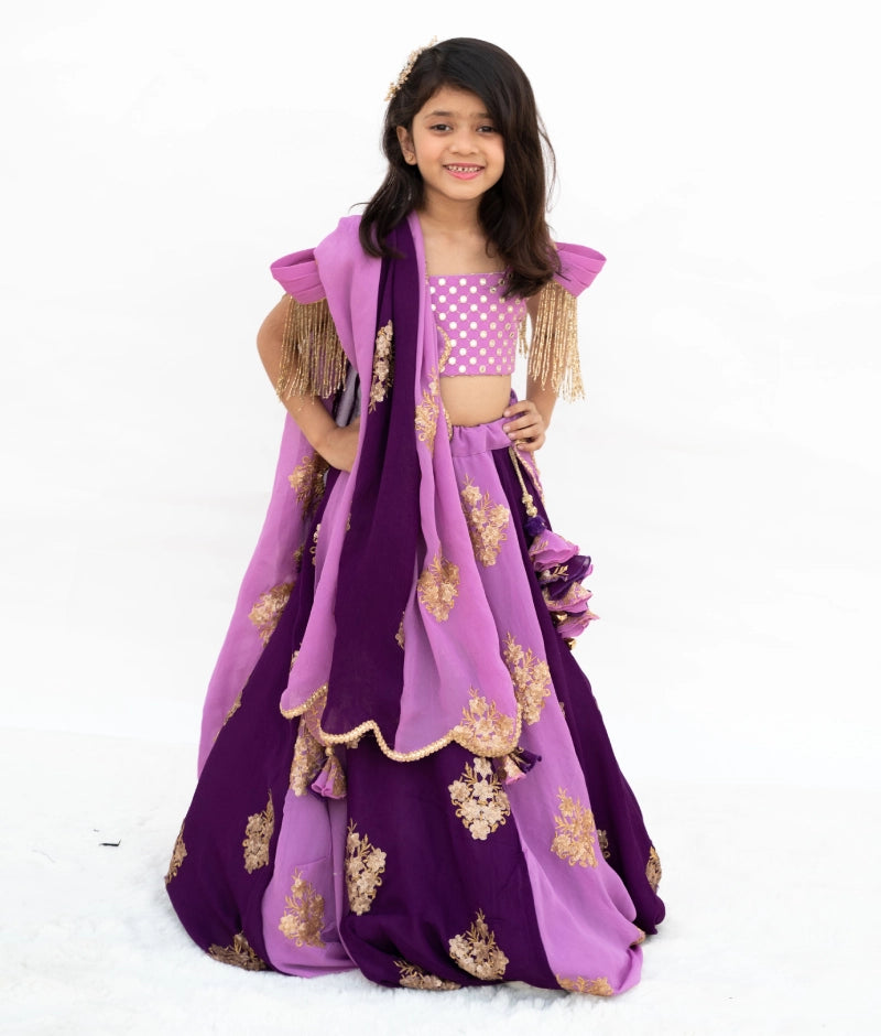 Lilac & Purple Embroidered Lehenga Set