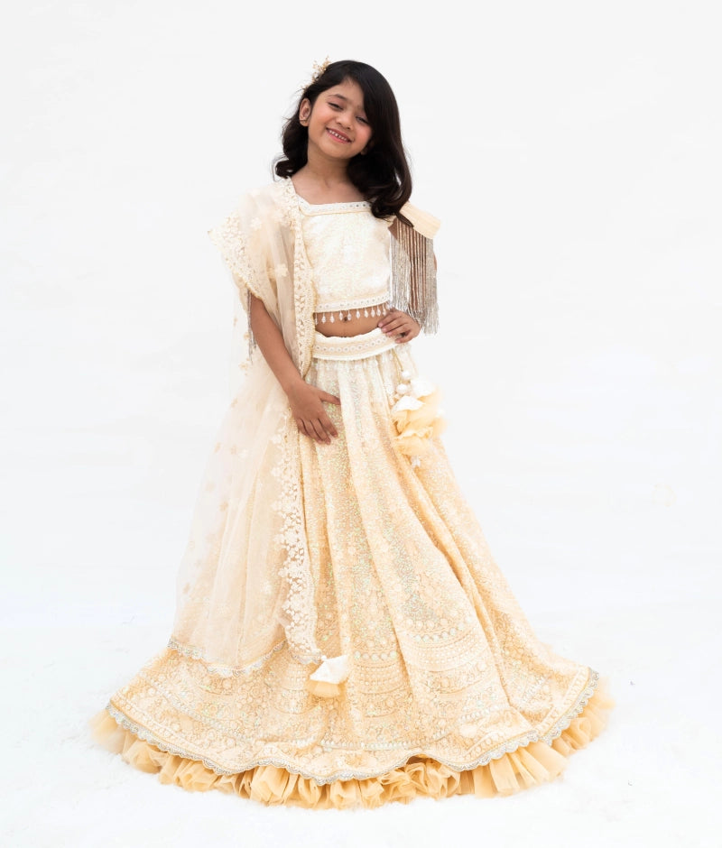 Beige Ombre Lehenga Choli Set