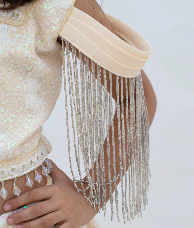 Beige Ombre Lehenga Choli Set