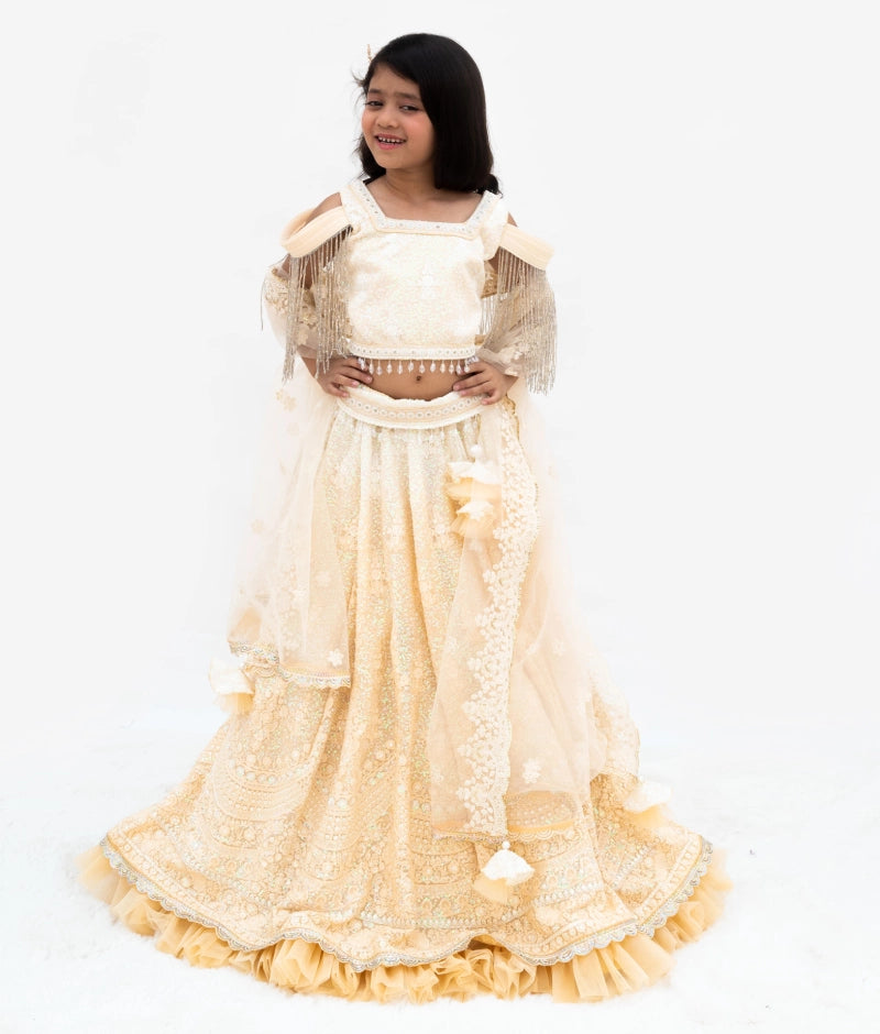 Beige Ombre Lehenga Choli Set