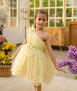 Yellow Butterfly Frock