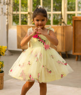 Green Embroidered Net Frock