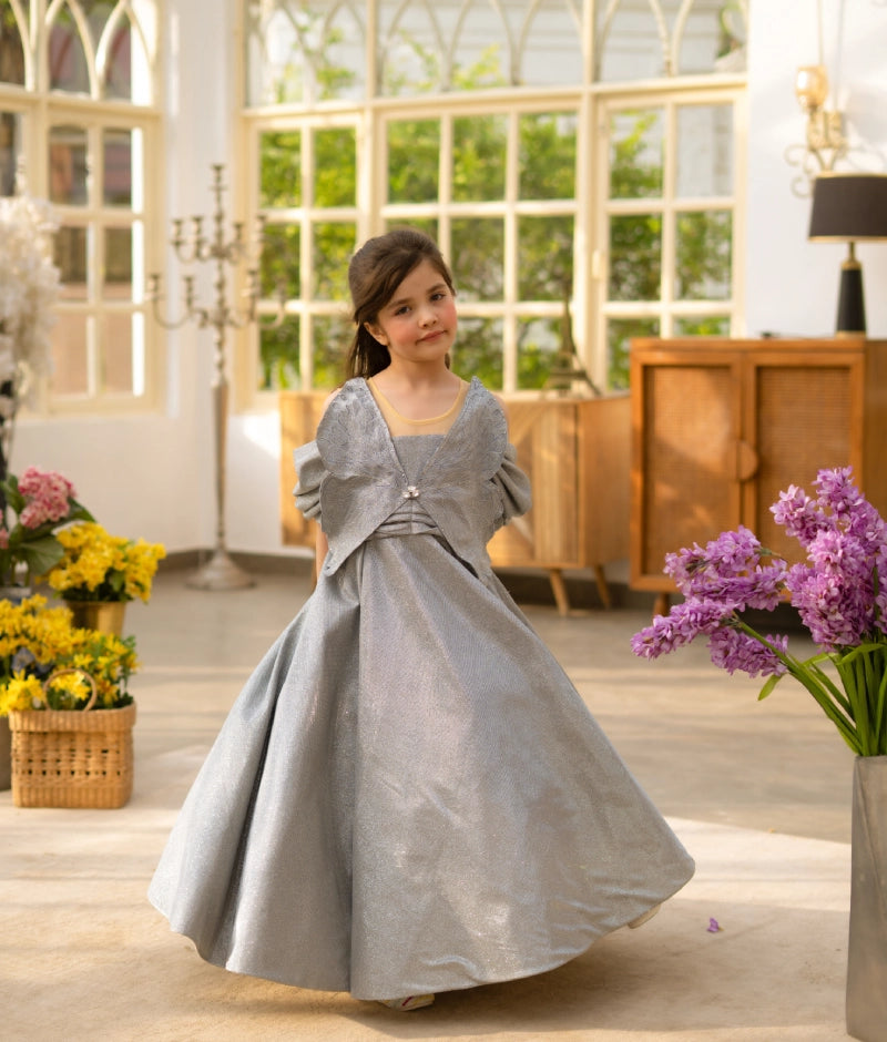 Grey Shimmer Party Gown