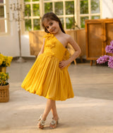 Mustard Yellow Shimmer Frock
