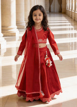 Red Raw Silk Lehenga Choli Set